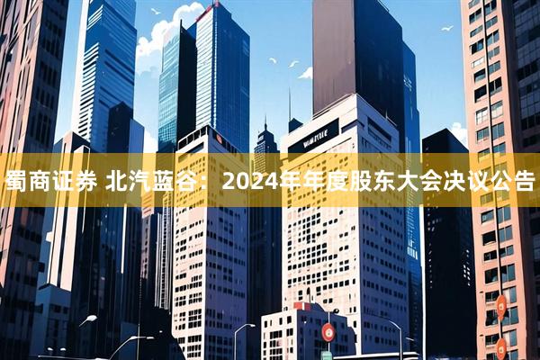 蜀商证券 北汽蓝谷：2024年年度股东大会决议公告