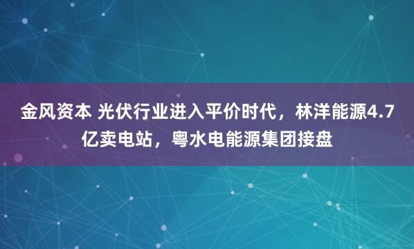 金风资本 光伏行业进入平价时代，林洋能源4.7亿卖电站，粤水电能源集团接盘