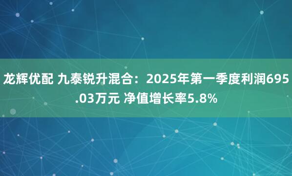 龙辉优配 九泰锐升混合：2025年第一季度利润695.03万元 净值增长率5.8%