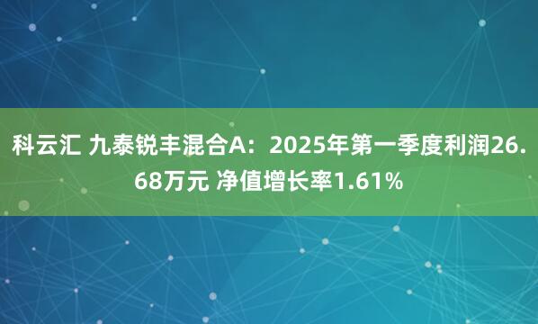 科云汇 九泰锐丰混合A：2025年第一季度利润26.68万元 净值增长率1.61%