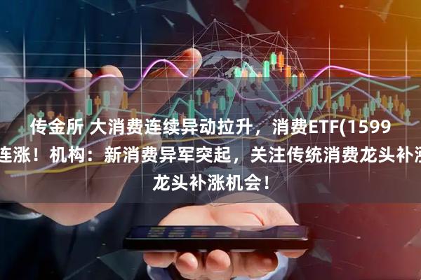 传金所 大消费连续异动拉升，消费ETF(159928)两连涨！机构：新消费异军突起，关注传统消费龙头补涨机会！