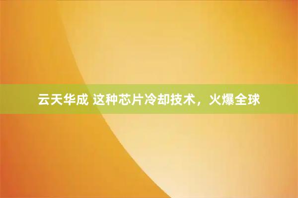 云天华成 这种芯片冷却技术，火爆全球