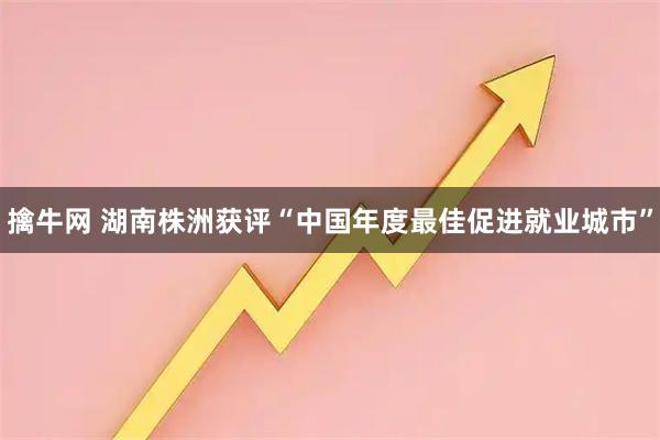 擒牛网 湖南株洲获评“中国年度最佳促进就业城市”