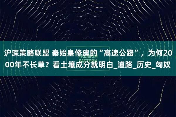 沪深策略联盟 秦始皇修建的“高速公路”，为何2000年不长草？看土壤成分就明白_道路_历史_匈奴