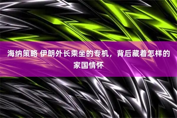 海纳策略 伊朗外长乘坐的专机，背后藏着怎样的家国情怀